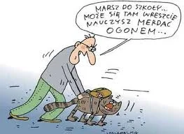 Zdjęcie z galerii