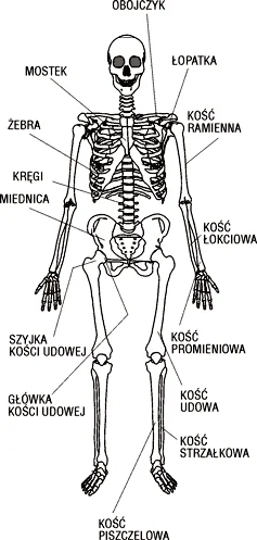 Zdjęcie z galerii