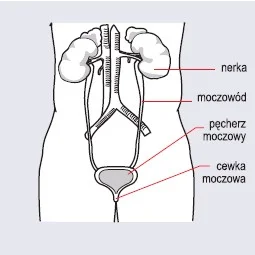 Zdjęcie z galerii